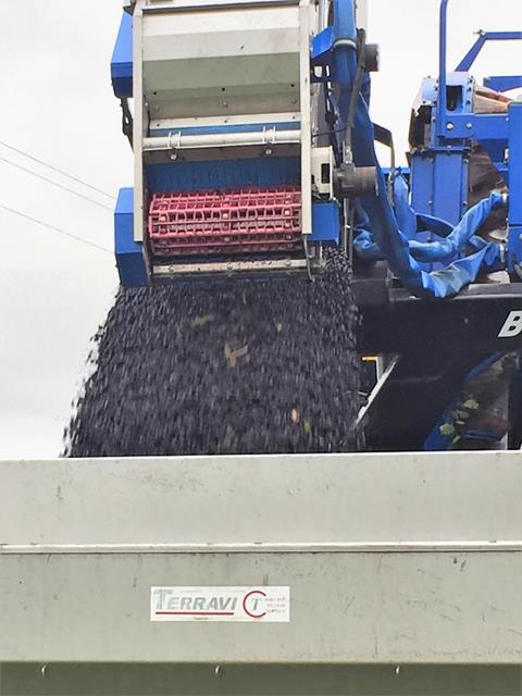 Grape harvester unloading